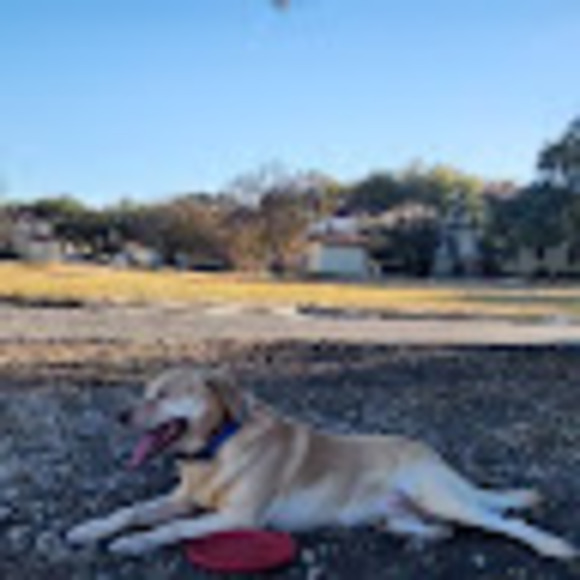 Meet your Posher, Maddi - Picture 1 of 1